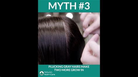Myth 03 Plucking Gray Hairs Will Make Two More Grow In Shorts Youtube