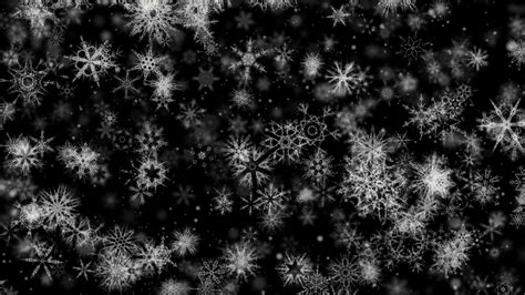 Pretty Snow 4 Downloops Creative Motion Backgrounds