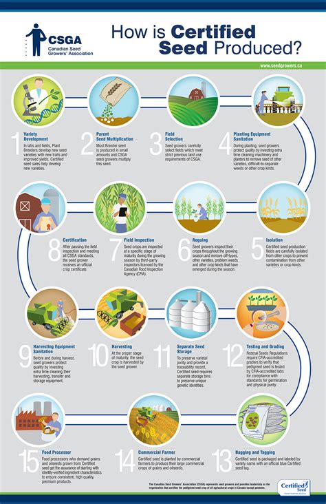 How Certified Seed Is Produced Canadian Seed Growers Association