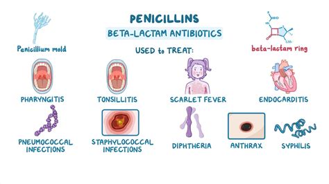 Antibiotics Penicillins Nursing Pharmacology Osmosis Video Library