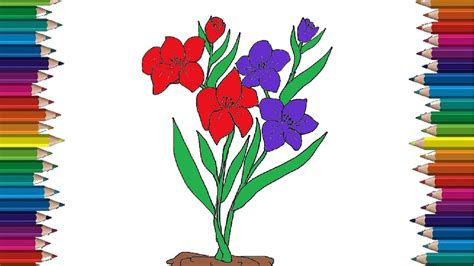 Here presented 54+ gladiolus flower drawing images for free to download, print or share. gladiolus drawing and coloring - How to draw a flower ...