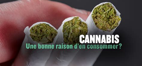 Cannabis Y A T Il Une Bonne Raison Den Consommer Le Monde De Demain