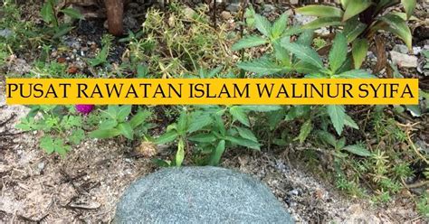 Magnet dapat dibedakan menjadi magnet alam dan magnet buata. PUSAT RAWATAN ISLAM DAN TRADISIONAL WALINUR SYIFA ...