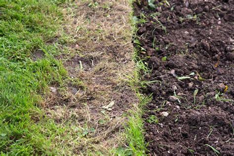 How To Repair The Edge Of A Lawn Bbc Gardeners World Magazine