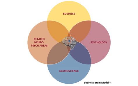 The Business Brain Model℠ Exploring The Business Brain