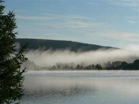 Free Picture Mist Lake Morning