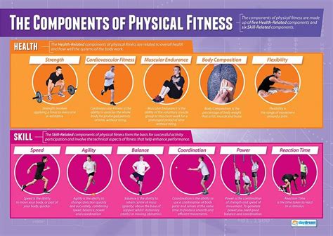 Components Of Physical Fitness Pe Posters Gloss Paper Measuring