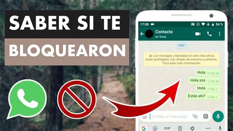 ¿cuando Te Bloquean En Whatsapp Se Puede Ver Si Está En Línea Haras