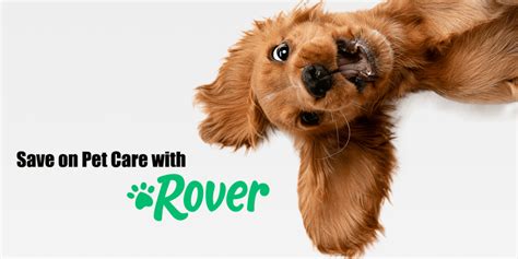 How Much Do Rover Dog Walkers Make