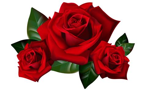 Red Rose Clipart Clip Art Library