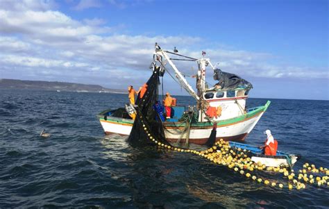 Líneas De Acción En Pesca Y Acuicultura En Primeros 100 Días De Produce