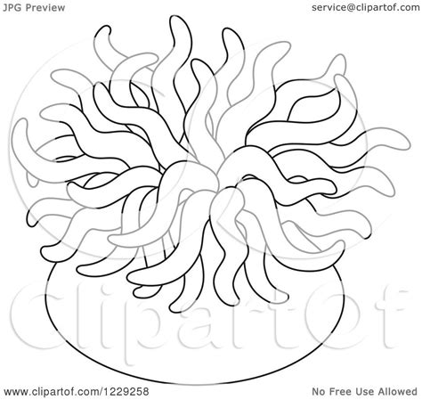 Clipart Of An Outlined Sea Anemone Royalty Free Vector Illustration