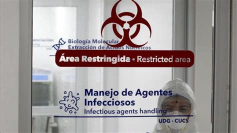 Coronavirus En México Las Dudas Que Genera Que El País Entre En La