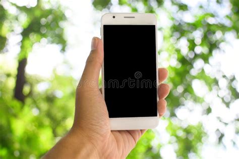 Hand Holding Smartphone With Staff Working Stock Image Image Of