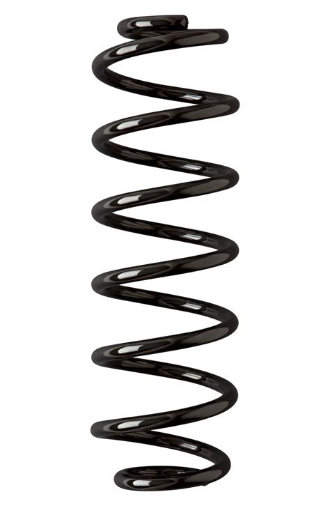 Coil Spring Vector At Collection Of Coil Spring