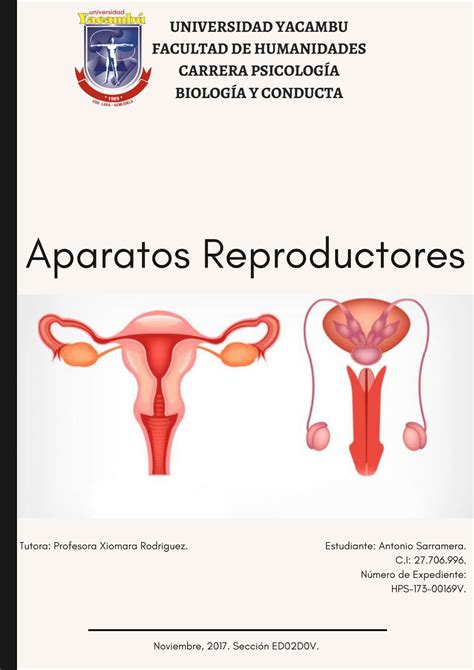 Aparatos Reproductores By Antonio Sarramera Avilez Issuu