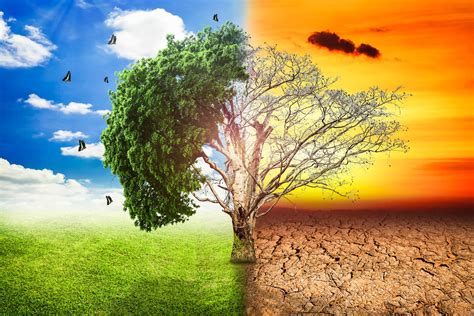 Esto incluye el comportamiento de huracanes cada vez más potentes, ausencia de lluvias en diversas partes del mundo, inundaciones por comportamientos anómalos de los ciclos de. ¿Qué es el Calentamiento Global?
