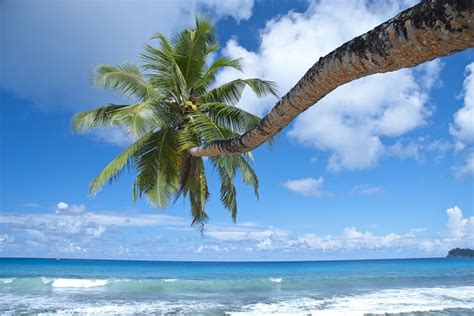La montée du niveau de la mer, la météo extrême et. Les 6 plages les plus spectaculaires aux Seychelles ...