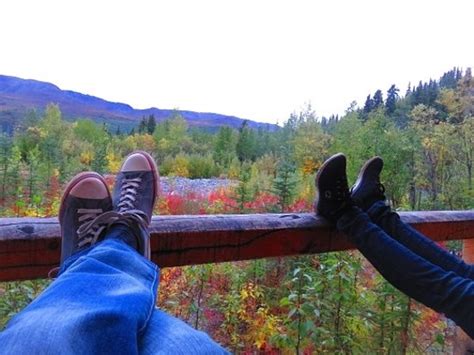 Check spelling or type a new query. Denali Highway Cabins - UPDATED 2018 Prices, Reviews ...