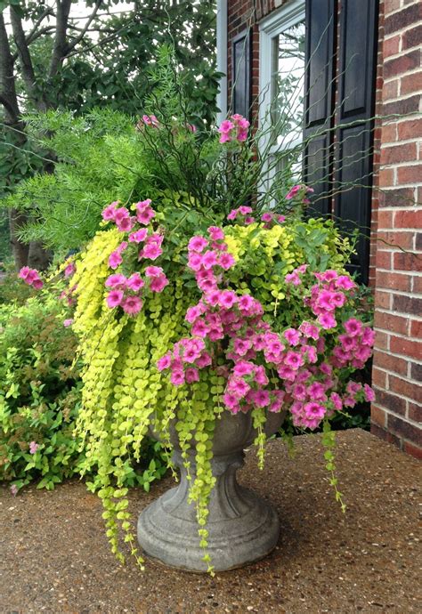 10 Porch Flower Pot Ideas