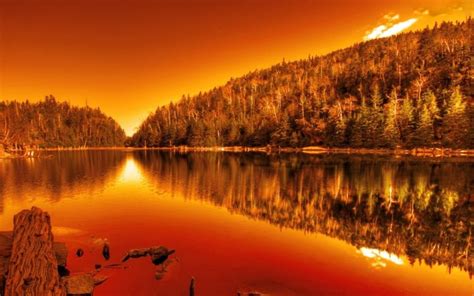 Free Download Landscapes Nature Trees Scenic Lakes Reflections