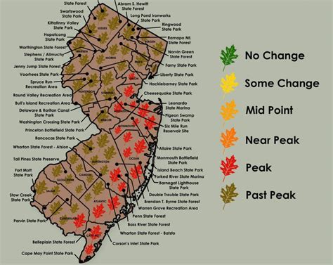 Peak Fall Foliage Arrives At Jersey Shore Eastern Nj Counties