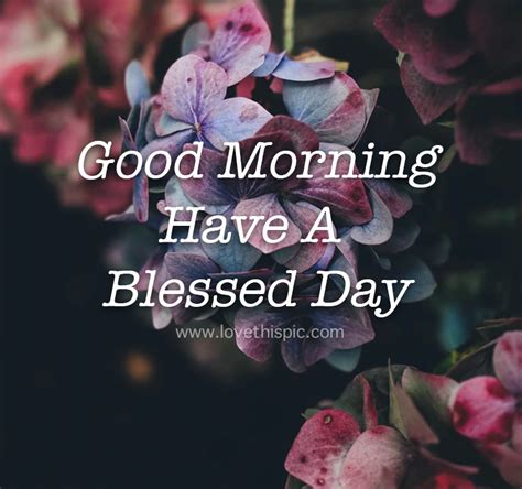 Blessed Good Morning Day Wishes Pictures Photos And Images For