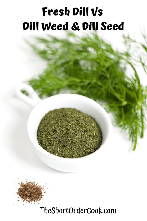 Fresh Dill Vs Dill Weed Dill Seed The Short Order Cook