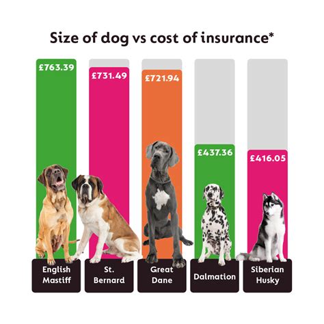 How Dog Breeds Affect Pet Insurance Prices | GoCompare