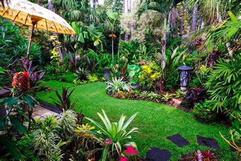 Tropical Garden Ideas Nz Eleonor Jacks
