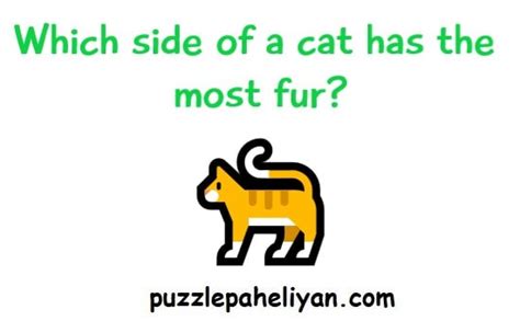 What Side Of A Cat Has The Most Fur Riddle Puzzle Paheliyan