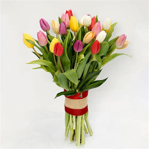25 Vibrant Tulips Bunch Flowers