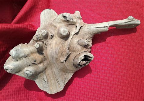 Large Driftwood Piece 17 Natural Driftwood Art Driftwood Sea Ray Natural Driftwood Cedar