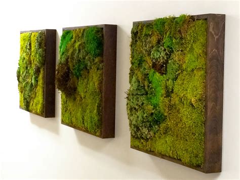 Moss Walls The Newest Trend In Biophilic Interiors Moss Walls The