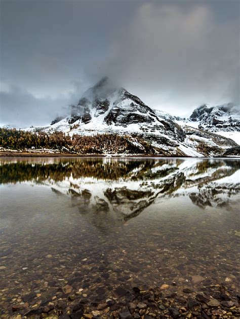 Pin By Panorama Veterinary Services On Mount Assiniboine Provincial