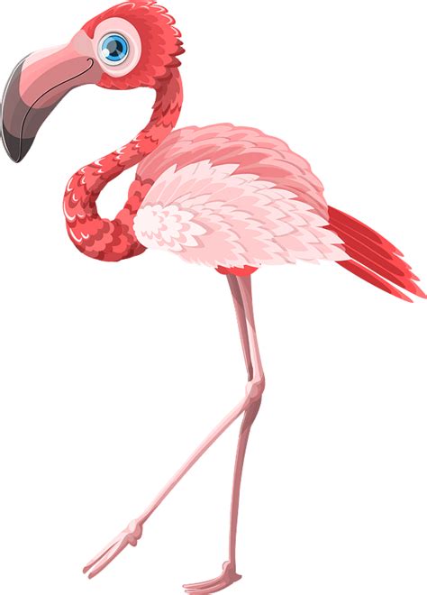 Flamingo Clipart Free Download Transparent Png Creazilla