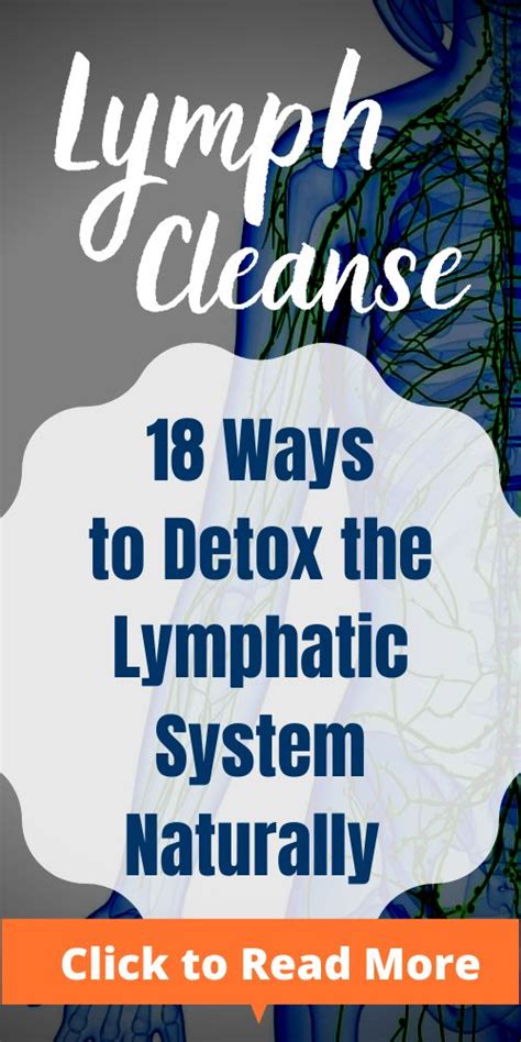 Lymph Cleanse How To Detox Your Lymphatic System Naturally