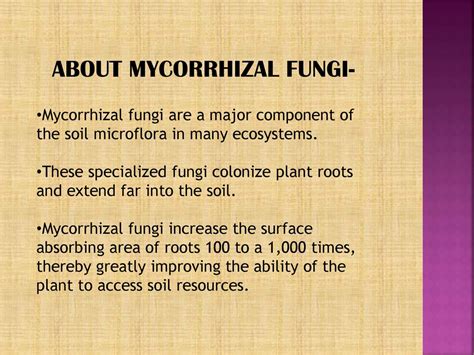 Mycorrhiza Ppt Download
