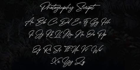 Photography Script Font Webfont And Desktop Myfonts