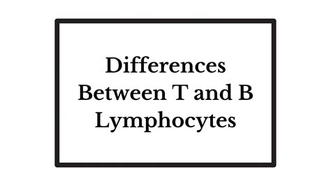 Differences Between T And B Lymphocytes Microbiology Study