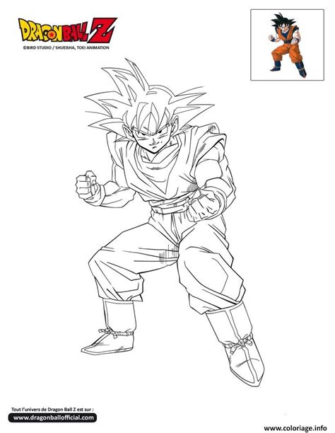 Coloriage Dbz Goku Pret Au Combat Dragon Ball Z Officiel Dessin Dragon