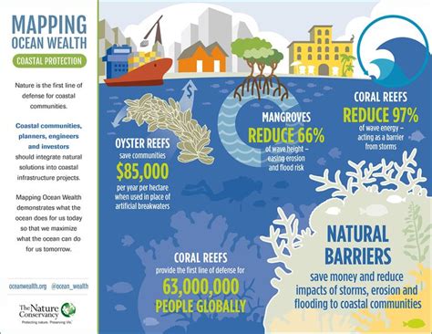 In Honor Of World Ocean Day Here Are The Top 25 Ocean Infographics
