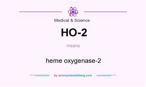Ho 2 Heme Oxygenase 2 In Medical And Science By