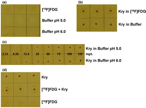 Pharmaceuticals | Free Full-Text | Development and Successful