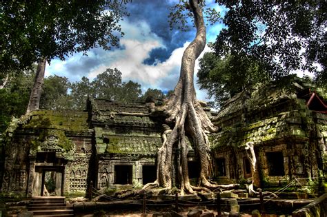 Post the definition of ta to facebook share the definition of ta on twitter. The Stegosaur Engravings at Ta Prohm | Genesis Park
