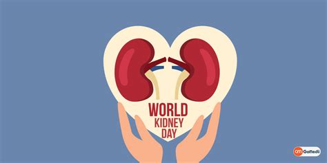 It is a holiday that takes place all over the world to let people know of the risk factors for kidney disease. World Kidney Day Images 2020 - themediocremama.com