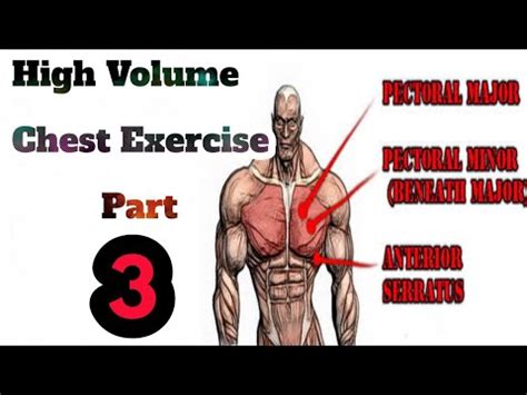 High Volume Chest Workout Weeks Muscle Building Day Youtube