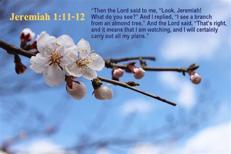 Jeremiah 111 12 Amp Moreover The Word Of The Lord Came To Me