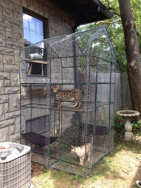 Outback jack outdoor cat enclosures for indoor cats portable cat tent, cat tunnel, and playhouse (play tents for cats and small animals). Catio for the cats to go outside via the window. I ...