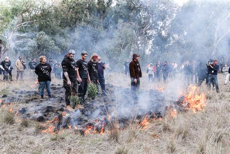 Learn About Aboriginal Cultural Burning In South Green Adelaide